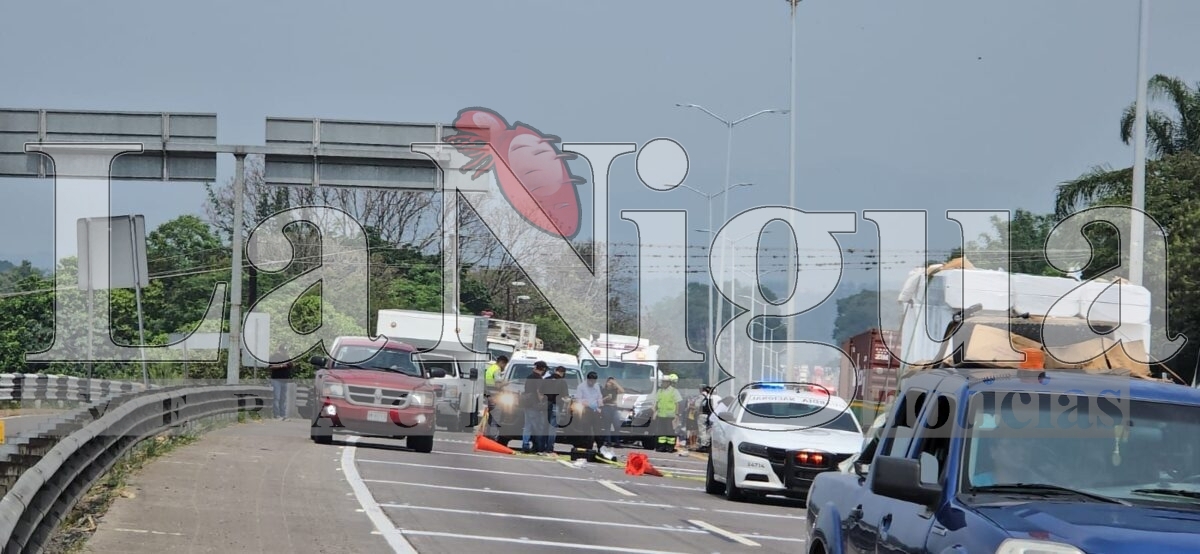 Muere joven atropellado en la autopista Orizaba-Córdoba 10 img 20250531 wa00321046005620133036101