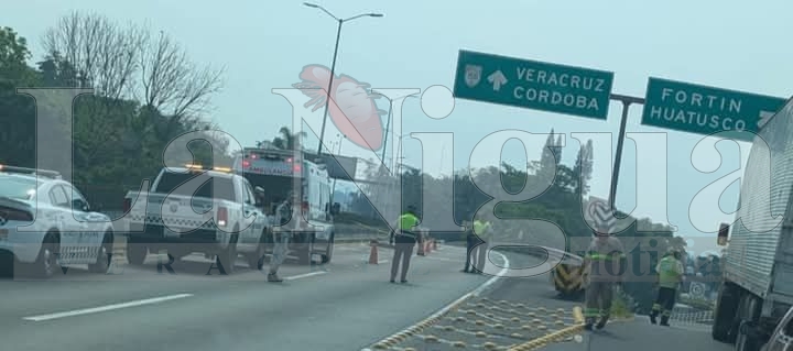 Muere joven atropellado en la autopista Orizaba-Córdoba 4 img 20250531 wa00795546669507373504621