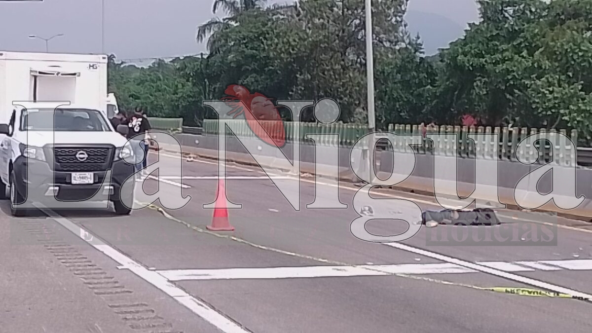 Muere joven atropellado en la autopista Orizaba-Córdoba 5 img 20250531 wa00806930803812455712318