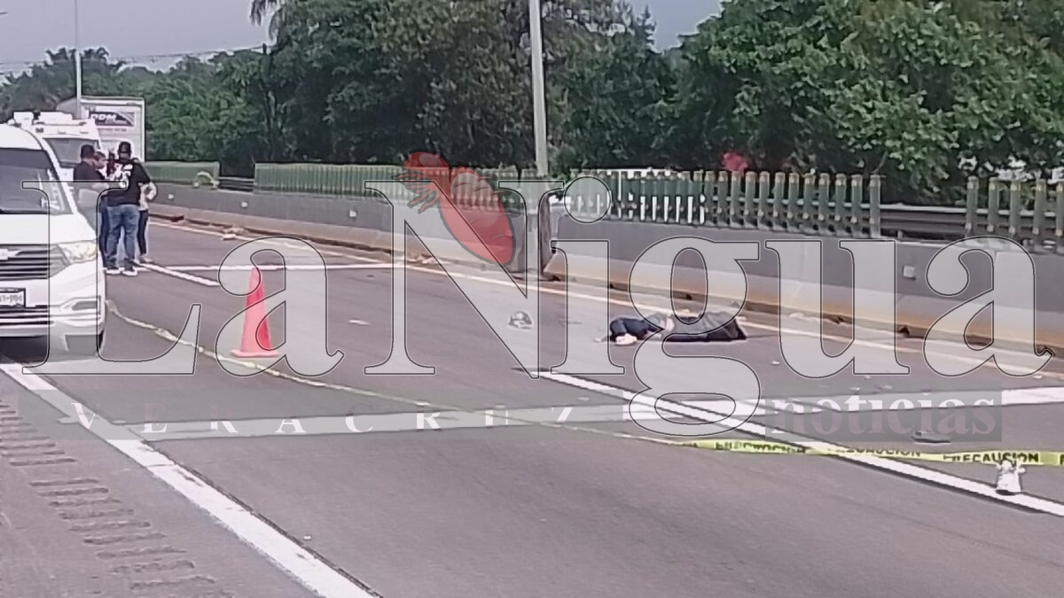 Muere joven atropellado en la autopista Orizaba-Córdoba 2 img 20250531 wa00816823834091053987505