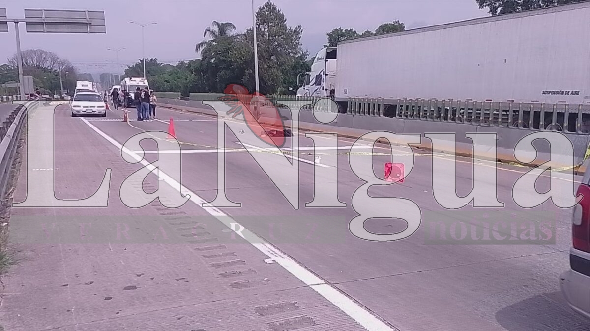 Muere joven atropellado en la autopista Orizaba-Córdoba 3 img 20250531 wa00823196028738202754544