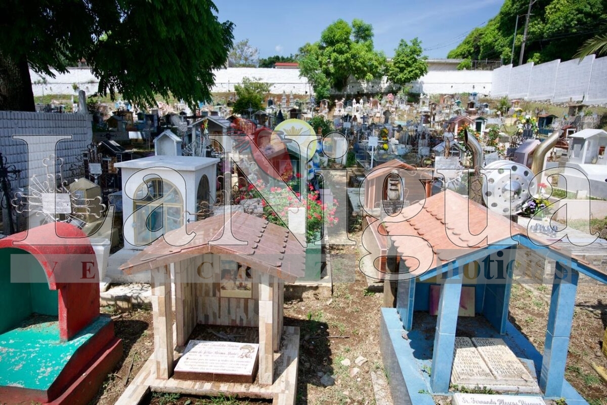 Por cuatro años consecutivos, cementerios municipales son espacios Libres de Criaderos del Mosco Transmisor del Dengue