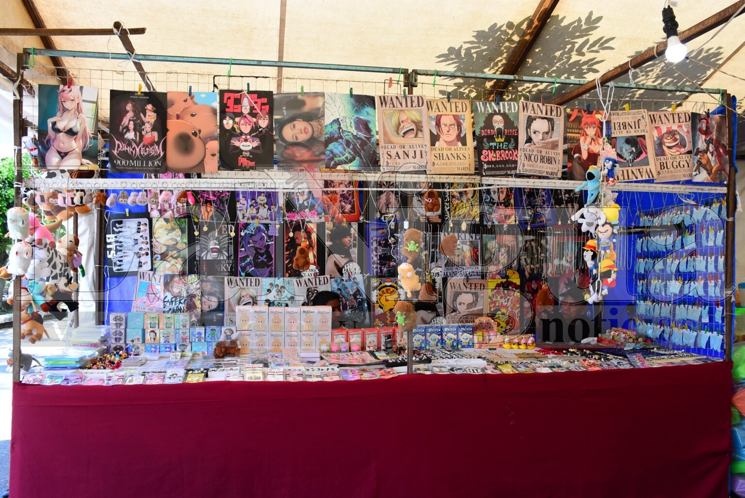 Expo Día del Padre ya inició en Fortín