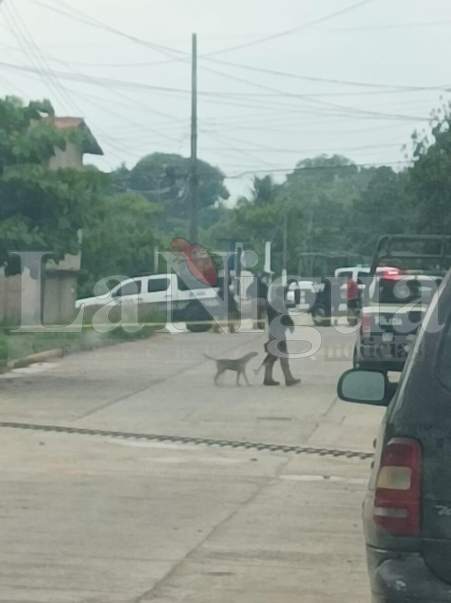 Tras operativo de Fuerzas Armadas aseguran camionetas y armamento en Jáltipan