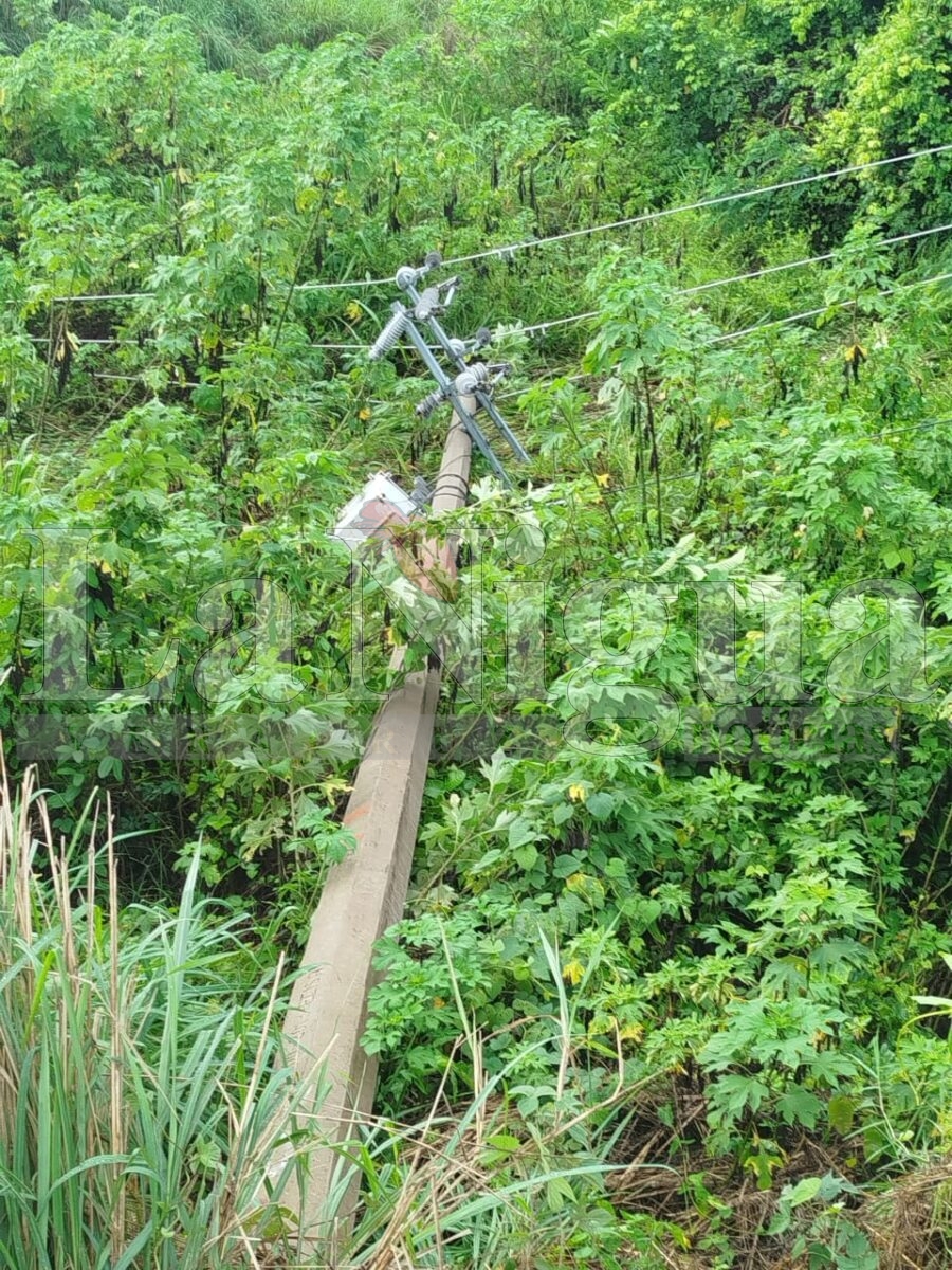 Tromba tira postes en Padelma