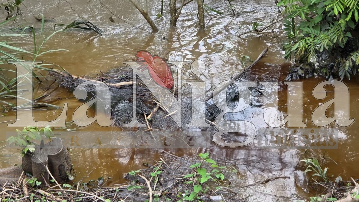 Cinco días sin agua en cuatro municipios de Veracruz por culpa de Pemex