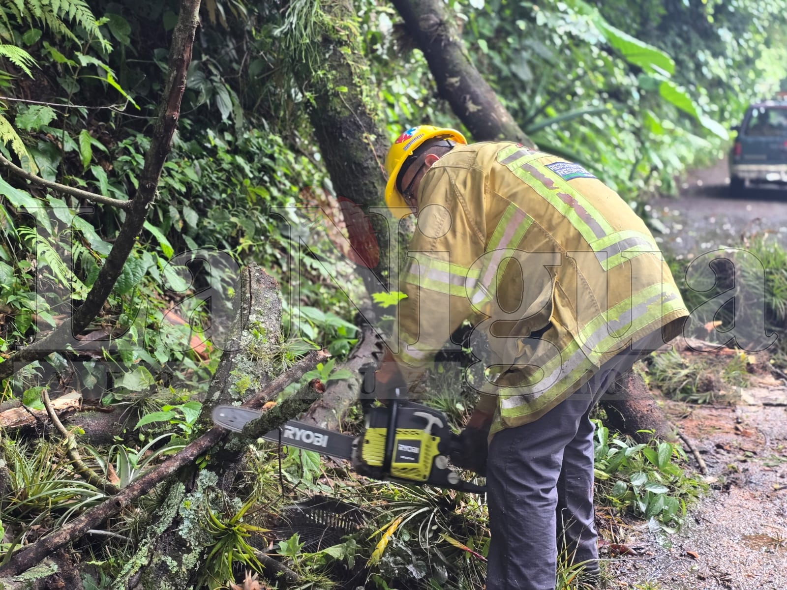 Deslaves y caída de árboles provocan cierre en la carretera Fortín-Orizaba; autoridades atienden emergencia sin reporte de lesionados 4 WhatsApp Image 2025 06 30 at 07.45.52 4