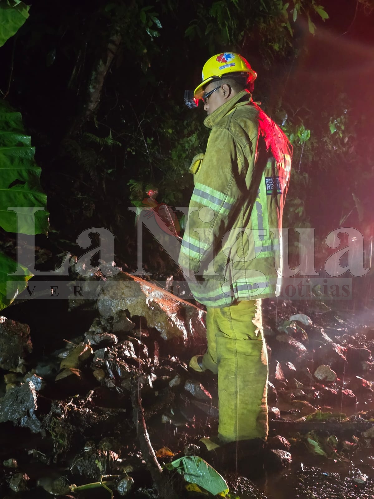 Deslaves y caída de árboles provocan cierre en la carretera Fortín-Orizaba; autoridades atienden emergencia sin reporte de lesionados 3 WhatsApp Image 2025 06 30 at 07.45.53