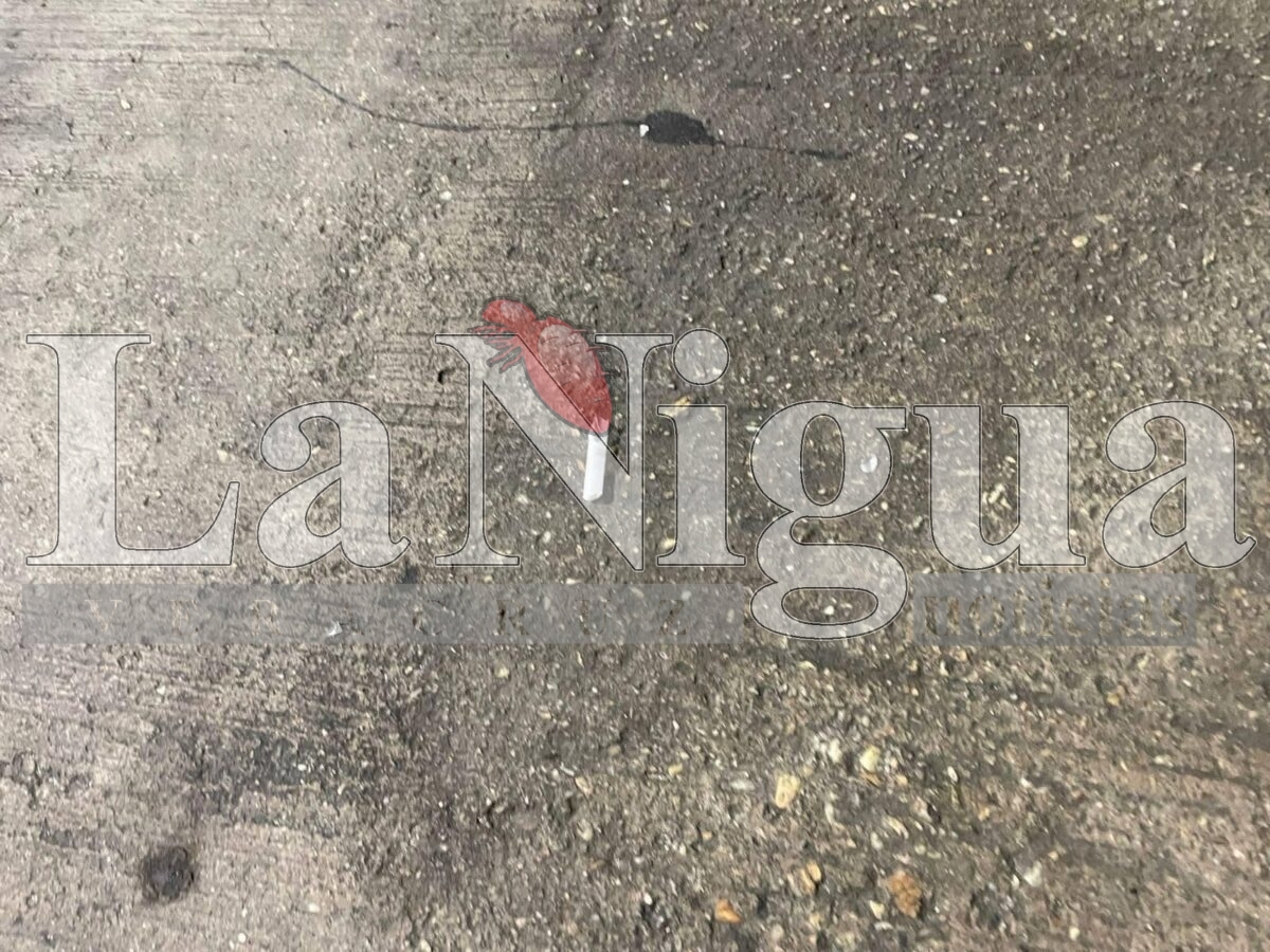 Violento asalto en gasolinera Servifácil de Sayula deja tres lesionados. 6 img 20250606 wa00535242810476822144528