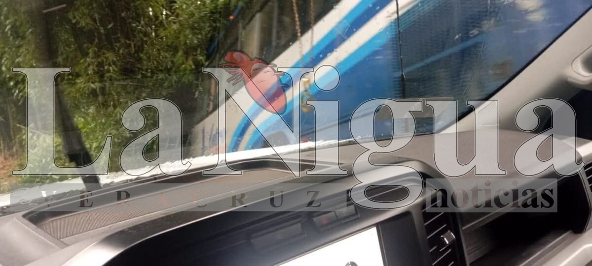 ACCIDENTE DE AUTOBÚS EN LA CARRETERA COSCOMATEPEC–HUATUSCO DEJA VARIOS LESIONADOS 4 img 20250619 wa0095796193990238143549