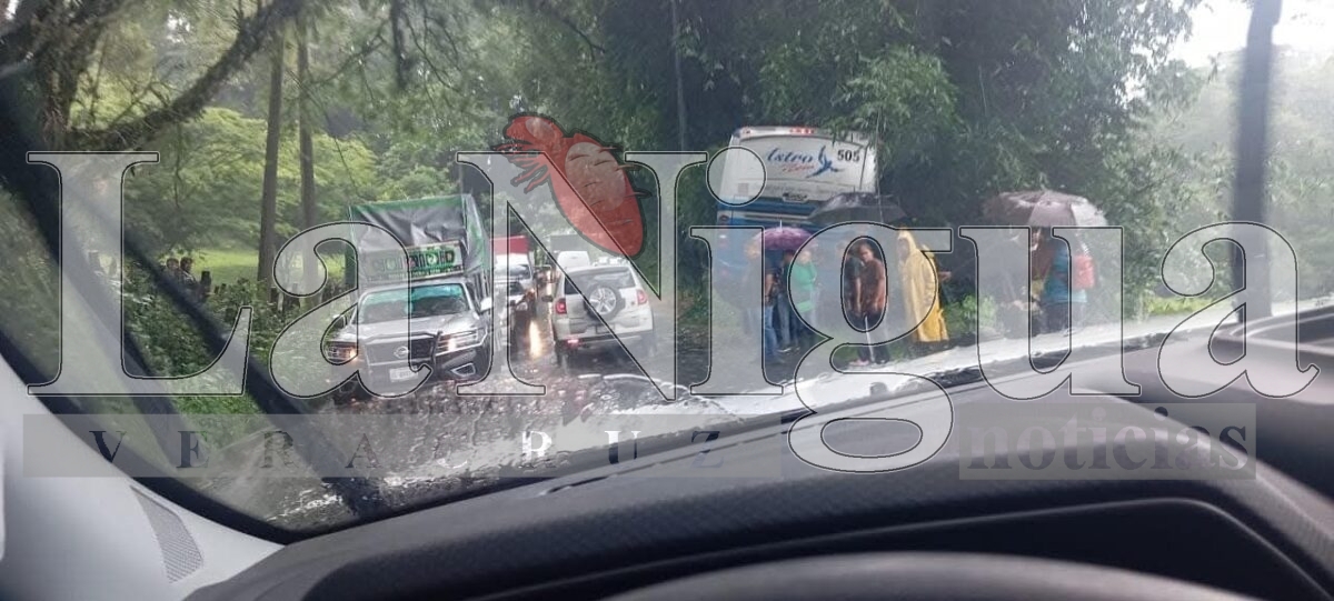 ACCIDENTE DE AUTOBÚS EN LA CARRETERA COSCOMATEPEC–HUATUSCO DEJA VARIOS LESIONADOS 3 img 20250619 wa00966047226008820152710