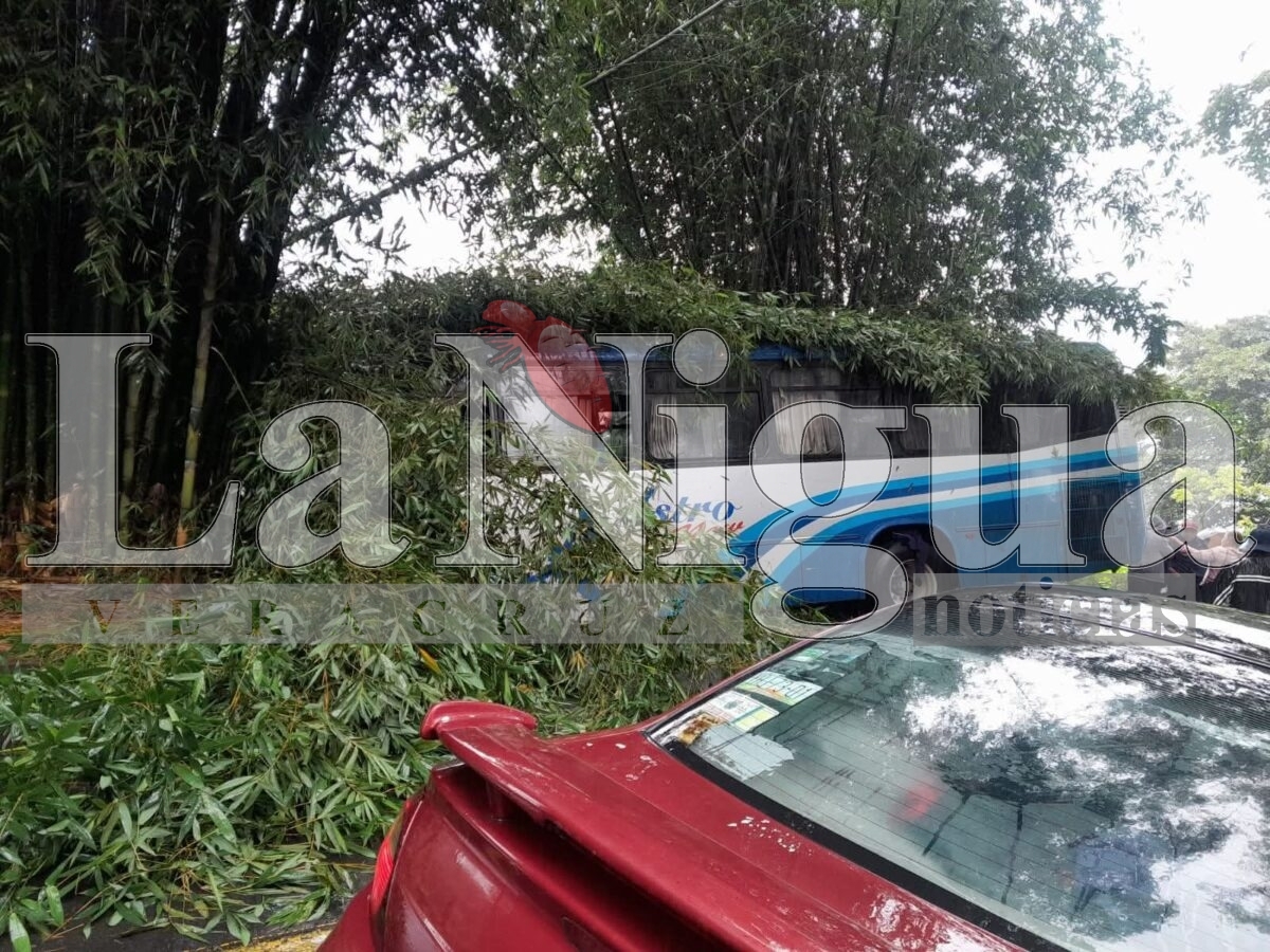 ACCIDENTE DE AUTOBÚS EN LA CARRETERA COSCOMATEPEC–HUATUSCO DEJA VARIOS LESIONADOS 2 img 20250619 wa00975268877715811354945