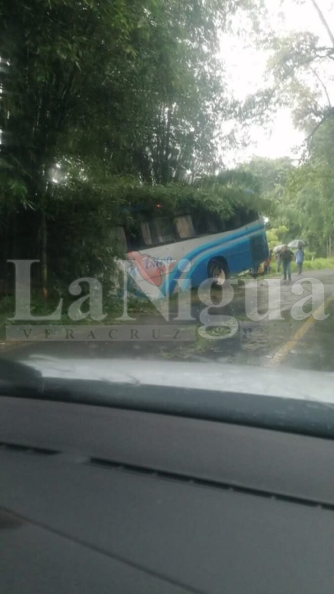 ACCIDENTE DE AUTOBÚS EN LA CARRETERA COSCOMATEPEC–HUATUSCO DEJA VARIOS LESIONADOS 1 img 20250619 wa0098785921068519980851