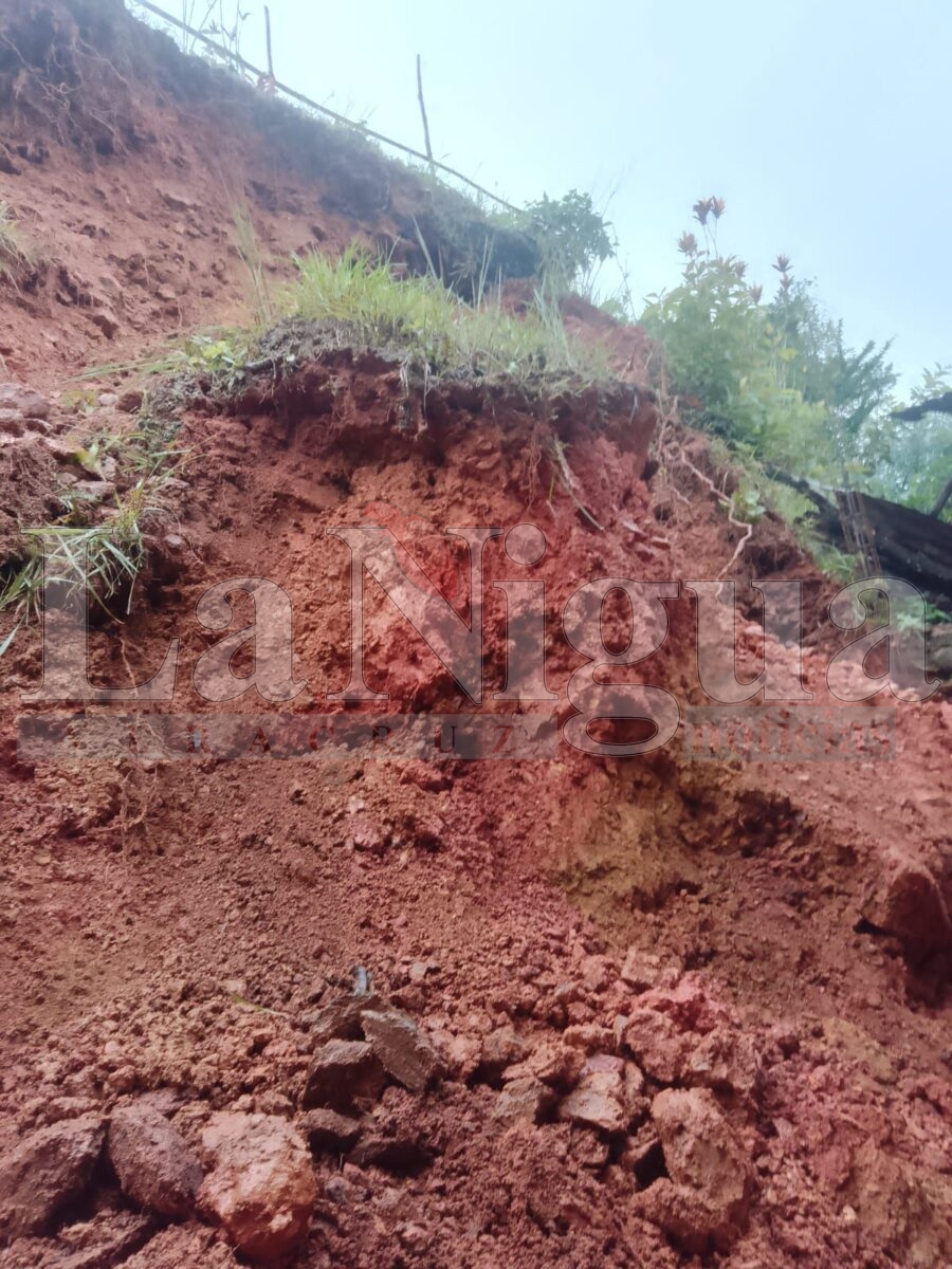 Derrumbe por lluvias en San Felipe Usila, Oaxaca; familia se salva de milagro 7 img 20250619 wa00993896577650637141598
