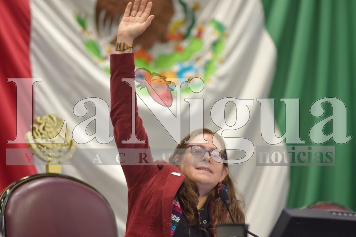 Recibe Congreso de Veracruz de la Gobernadora iniciativas en materia de transparencia 3 img 20250619 wa01263605536059018714902