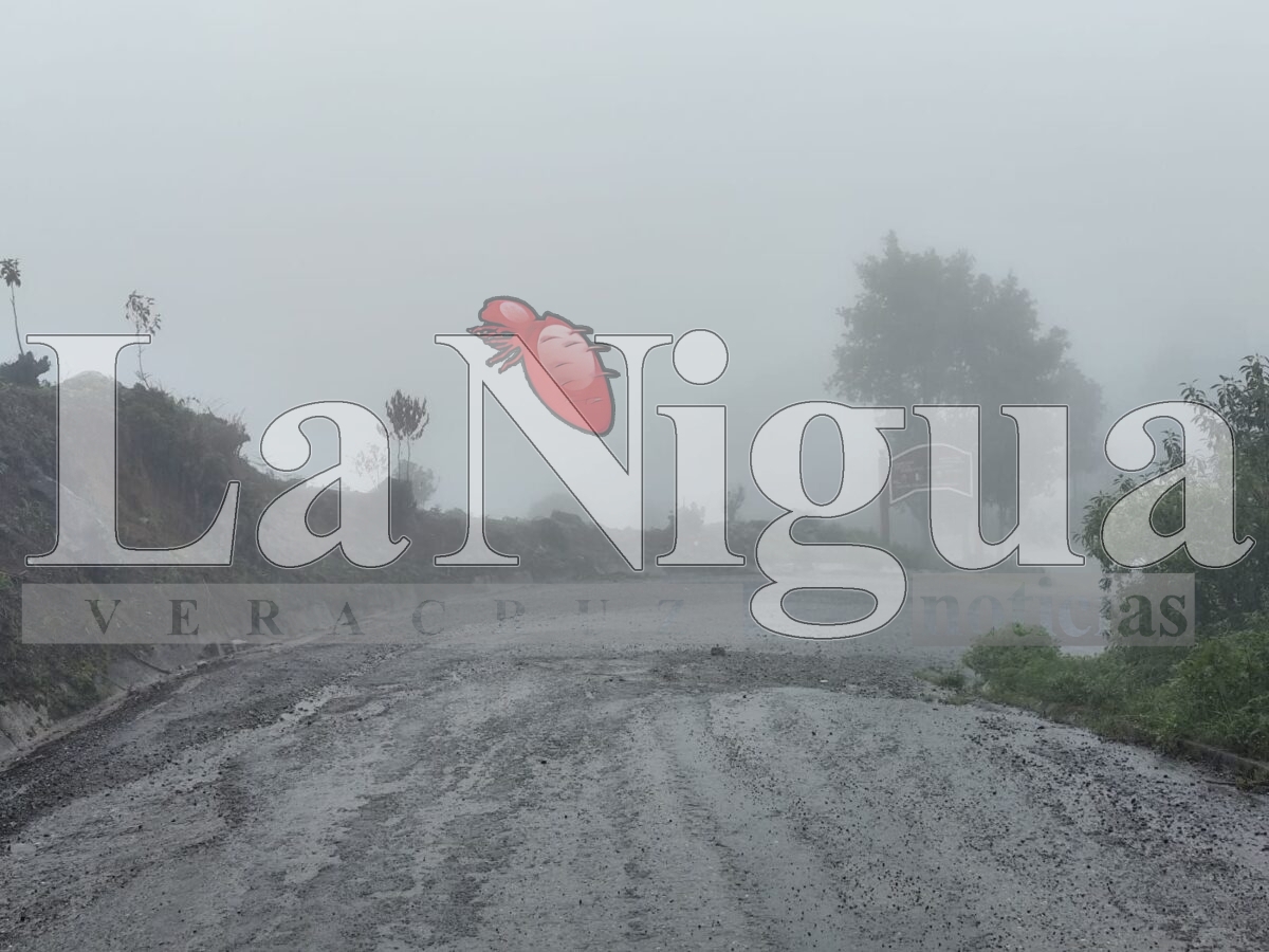 Lluvias exhiben grave deterioro carretero en la sierra de Zongolica 2 img 20250619 wa02306353189379345580544