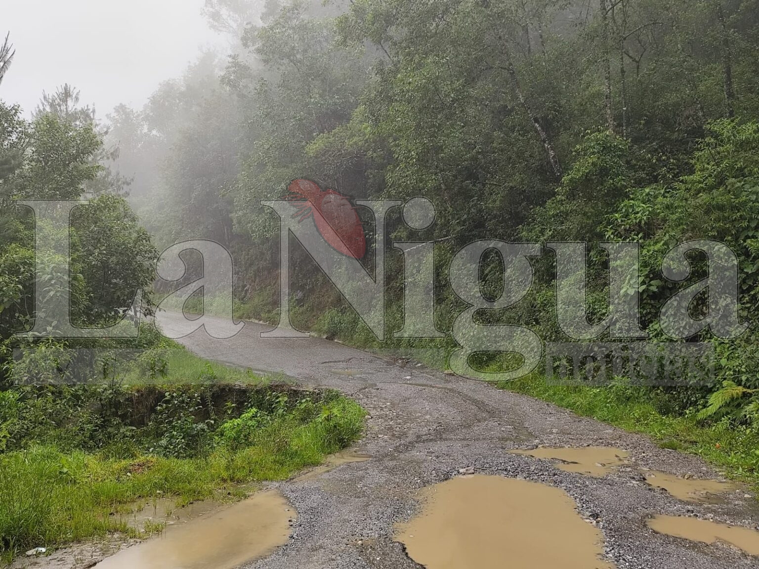 Lluvias exhiben grave deterioro carretero en la sierra de Zongolica