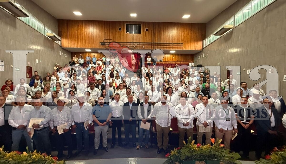Realiza IMSS Veracruz Sur capacitación con productores de caña de azúcar 1 img 20250620 wa00021481955767864662010