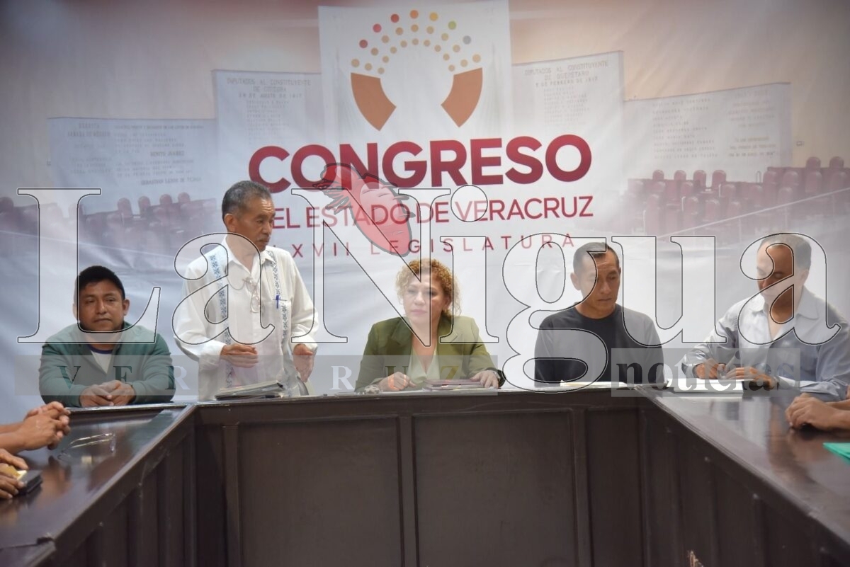 Dará diputada Miriam García atención a solicitudes de ciudadanos de Coyutla 3 img 20250620 wa01023575576763231883591