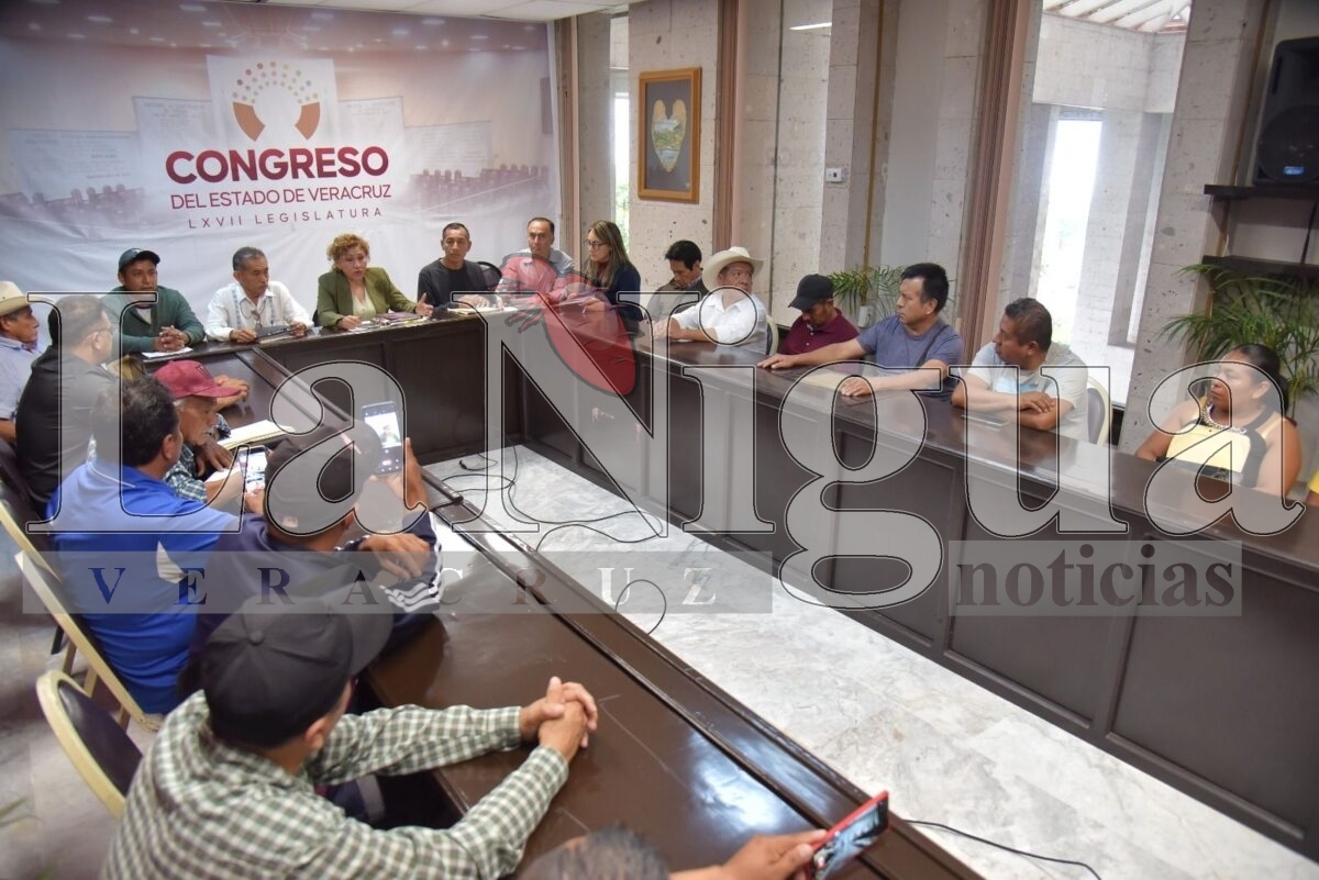 Dará diputada Miriam García atención a solicitudes de ciudadanos de Coyutla 6 img 20250620 wa01053160321895466114555
