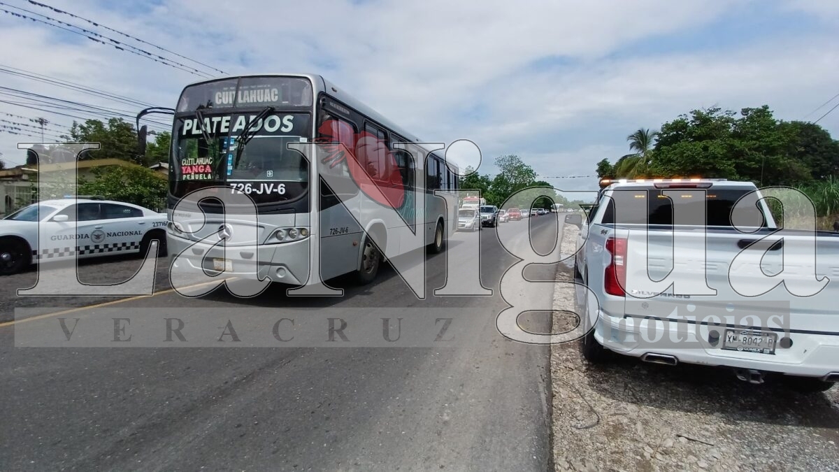 Trágico accidente en Palmillas: conductor muere prensado tras volcadura de tráiler 3 img 20250621 wa00348210602767587003553