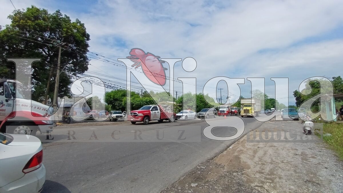 Trágico accidente en Palmillas: conductor muere prensado tras volcadura de tráiler 4 img 20250621 wa00373107415166510480402