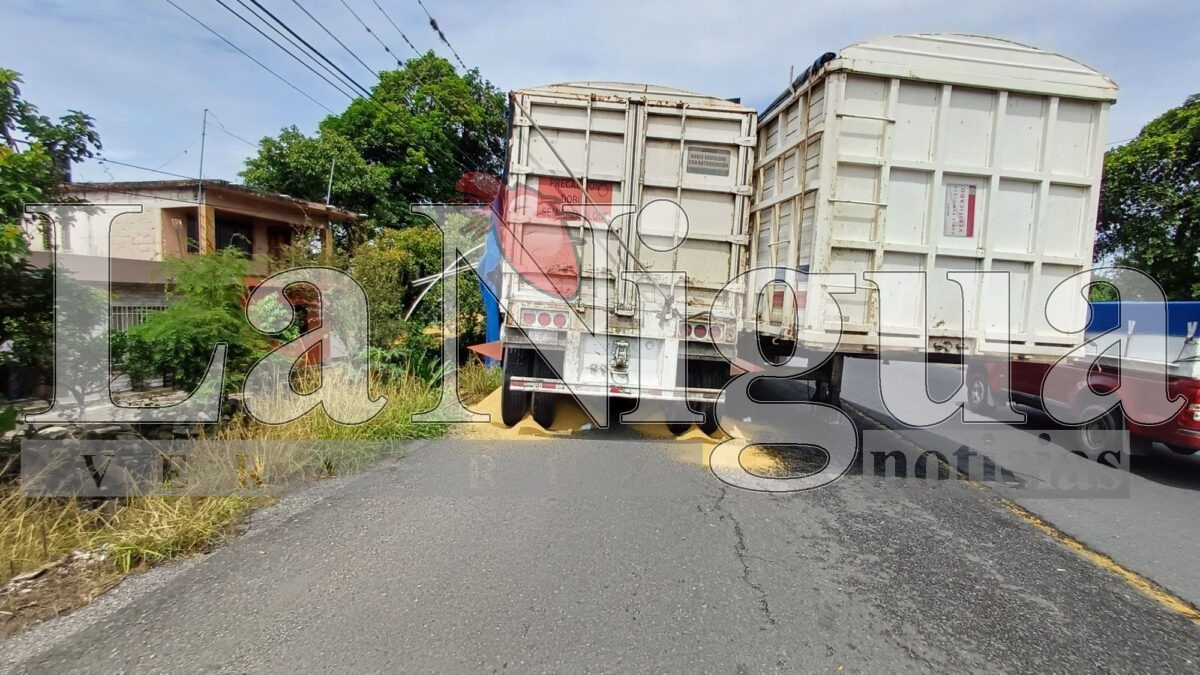 Trágico accidente en Palmillas: conductor muere prensado tras volcadura de tráiler 15 img 20250621 wa00592150290699088537805