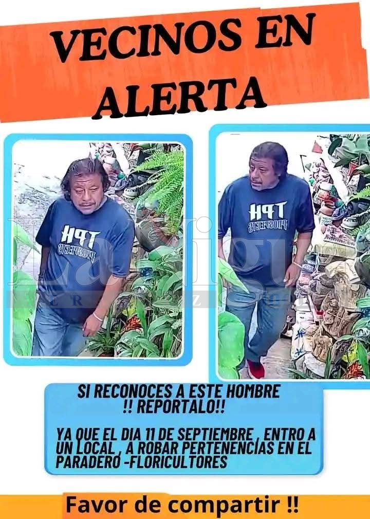 UBICAN DOMICILIO DE PRESUNTO LADRÓN DE CELULAR EN LA COLONIA MÉXICO 4 img 20250621 wa00711504442909747396929