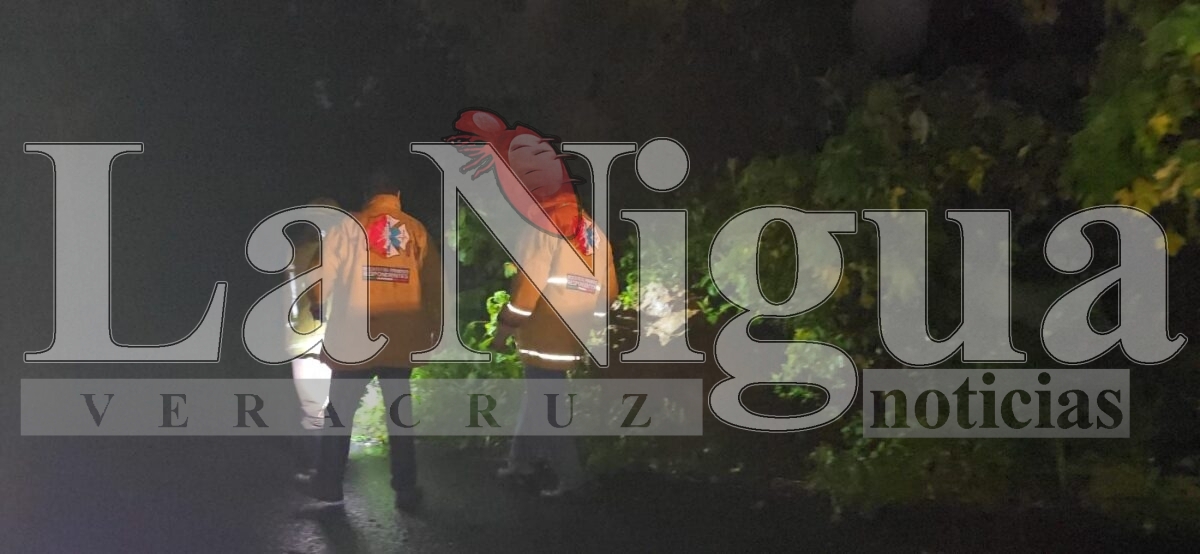 Deslaves en la carretera Fortín–Orizaba: extremar precauciones 17 img 20250622 wa00008448979567977650586