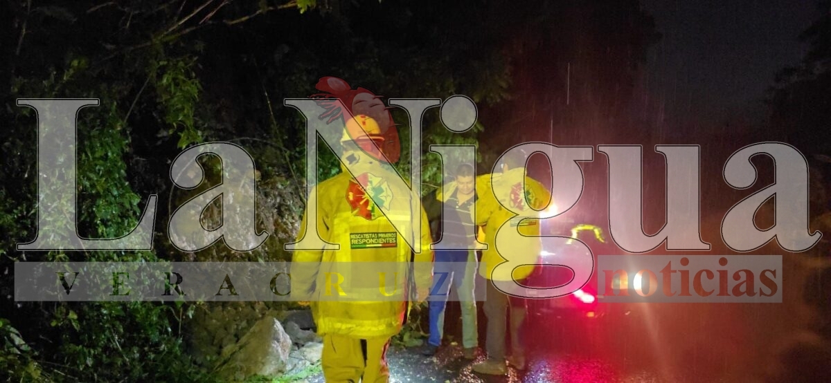 Deslaves en la carretera Fortín–Orizaba: extremar precauciones 16 img 20250622 wa00012415300097302063327