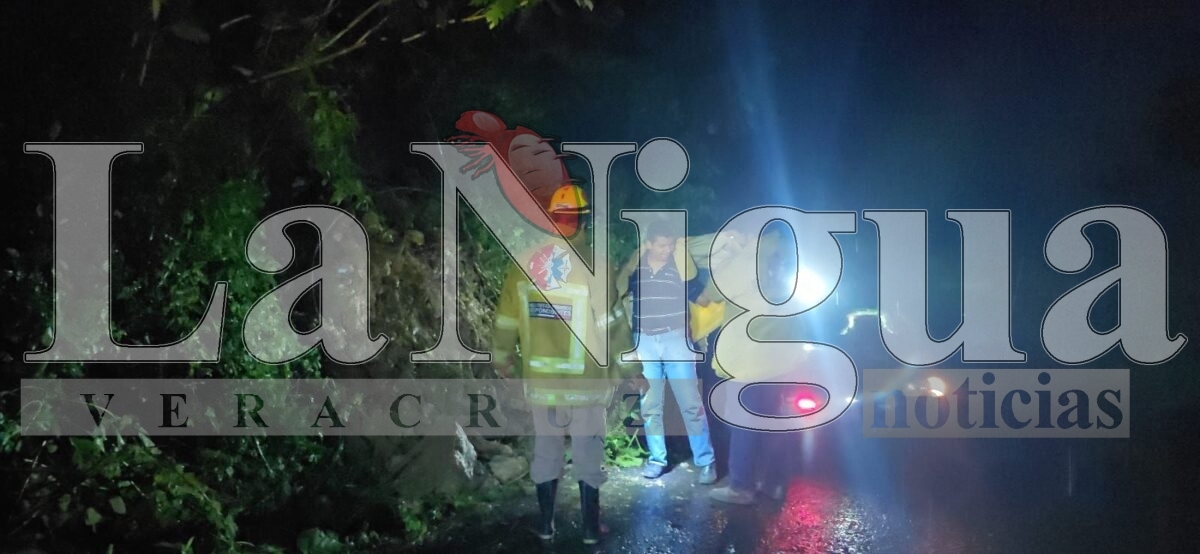 Deslaves en la carretera Fortín–Orizaba: extremar precauciones 20 img 20250622 wa00047938802651815084865