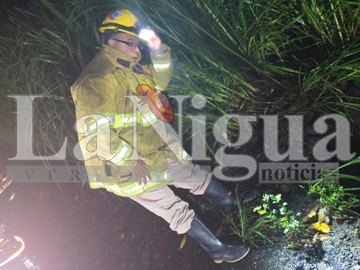 Deslaves en la carretera Fortín–Orizaba: extremar precauciones 3 img 20250622 wa00168489014669500858423