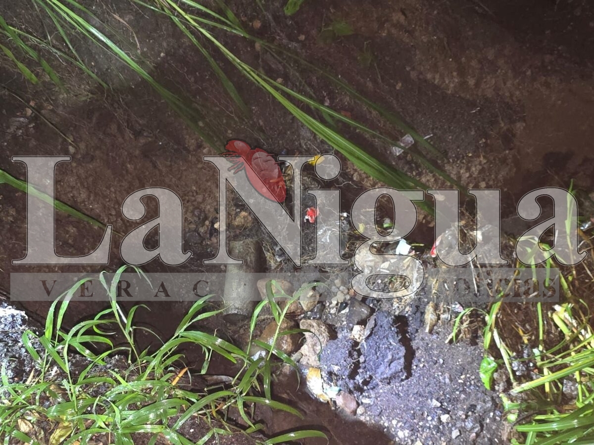 Deslaves en la carretera Fortín–Orizaba: extremar precauciones 6 img 20250622 wa00203632530851887655493