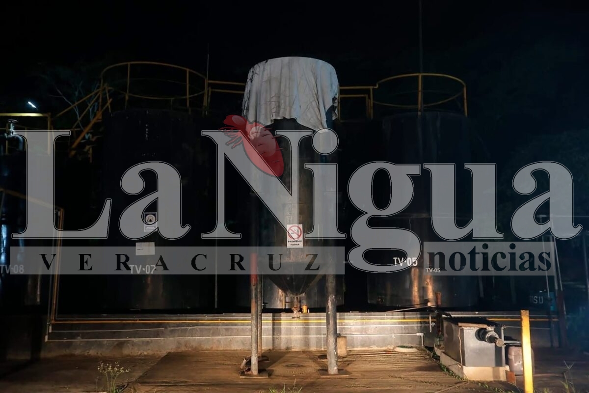 La planta de Moloacán-Coatzacoalcos: la amenaza tecnológica que el sistema no podía tolerar. 2 img 20250622 wa00676949782507712802855