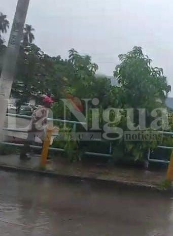 Intenta escapar por la puerta falsa en puente de Córdoba; sujeto desiste y se retira del lugar 8 img 20250623 wa00136318663477182581444
