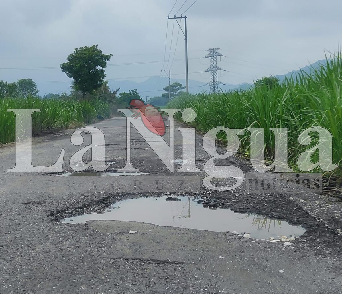 Dejan lluvias fuertes daños en varios sectores de Papantla 9 img 20250623 wa00835279598507617842597