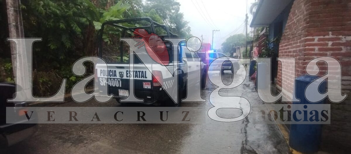 Acribillan a conductor de una camioneta en Papantla 6 img 20250624 wa01233992696590356609147