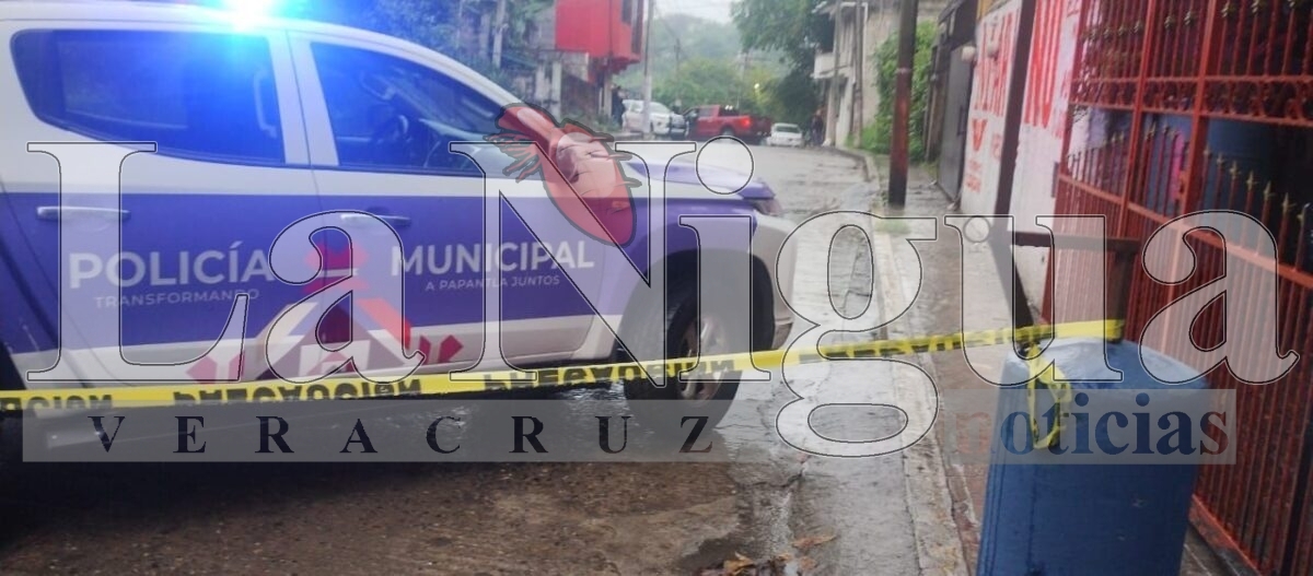 Acribillan a conductor de una camioneta en Papantla 2 img 20250624 wa0128340871723605402492