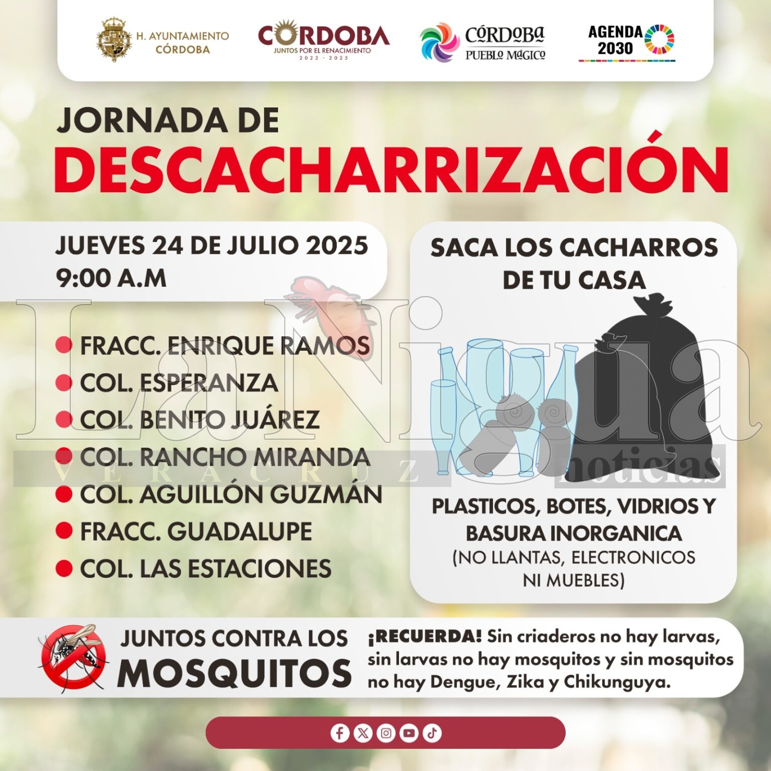 Implementarán acciones de Descacharrización para la eliminación de criaderos de mosco transmisor del Dengue