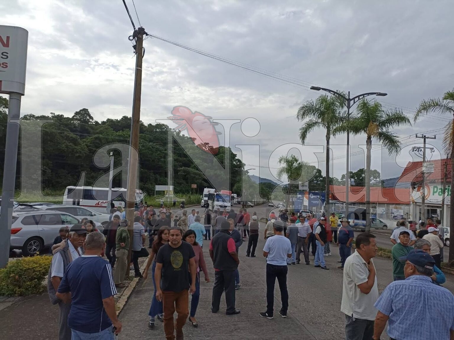 Taxistas de Córdoba y Orizaba liberan vialidades tras bloqueo de casi tres horas; acuerdan reunión con la gobernadora