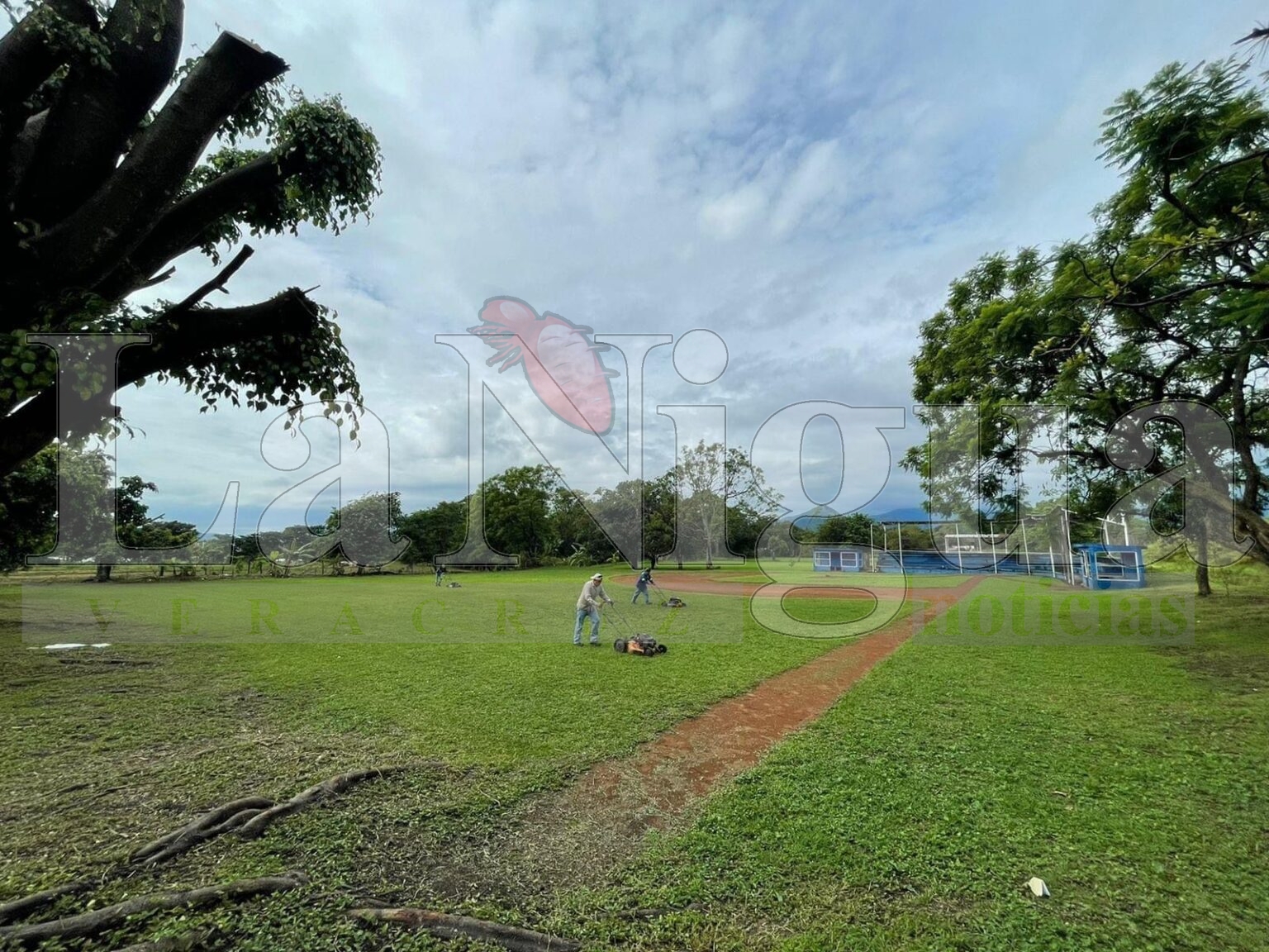 Campos 30 caballeros son propiedad del gobierno municipal: Juan Martínez