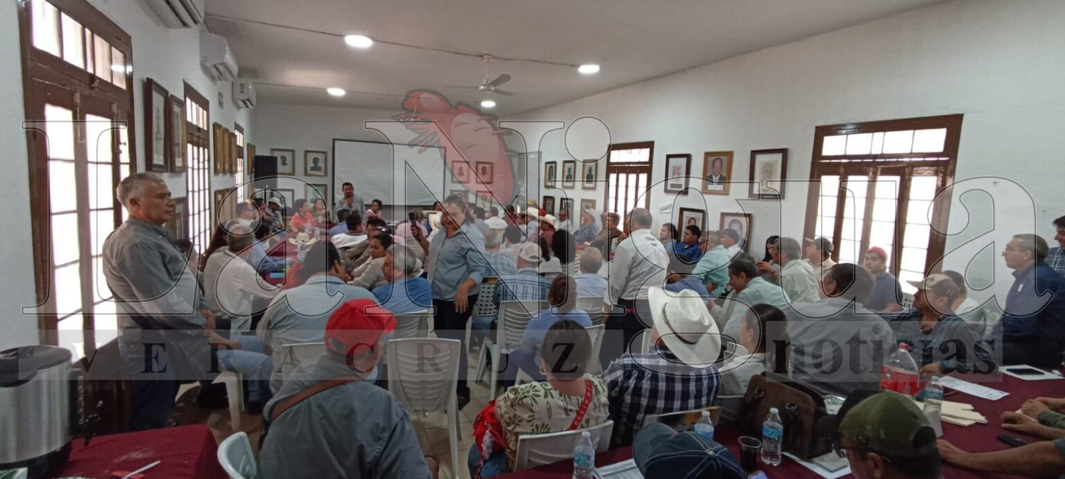 Será la campaña más intensa que se haya realizado en Veracruz; Dr. Carlos Jiménez.