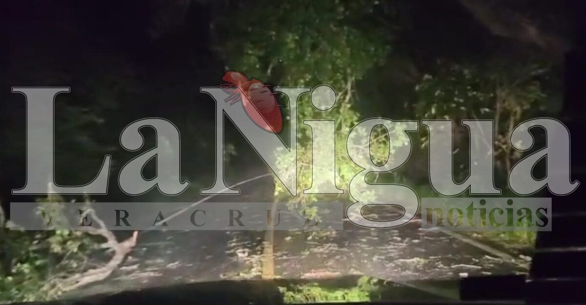 Tormenta eléctrica en Las Choapas deja daños en carretera al Cerro de Nanchital