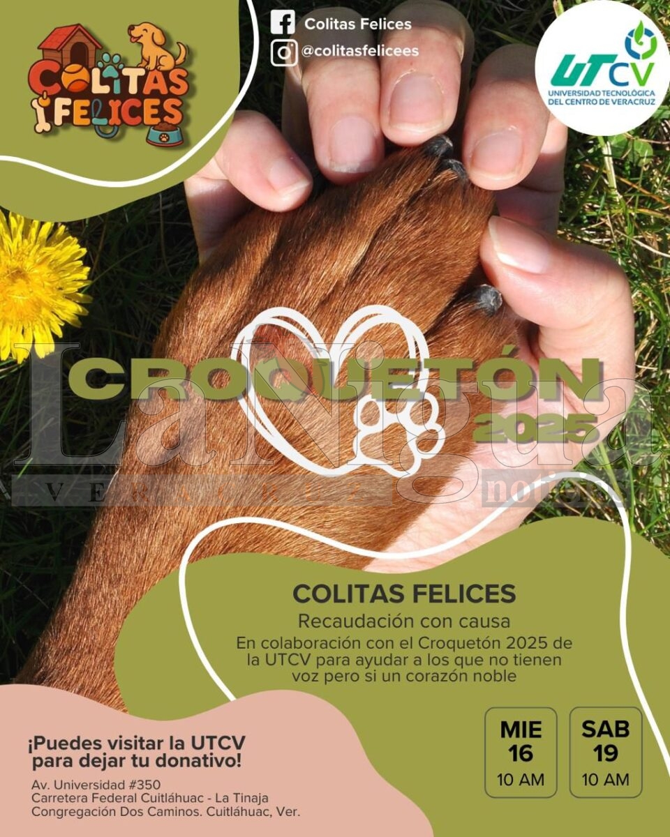 ESTUDIANTES DE LA UTCV REALIZAN CAMPAÑA SOLIDARIA EN APOYO A PERROS EN SITUACIÓN DE CALLE