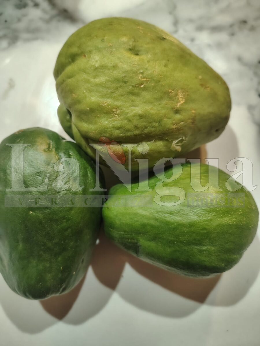 “La tierra enseña, pero este año nos golpeó duro”: productor de chayote