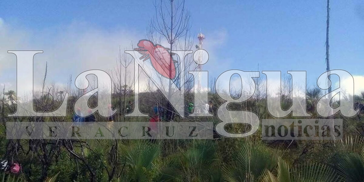 Dos de Yanga, hallados sin vida, en Puebla. Uno era hermano de la ex candidata del PT en Yanga