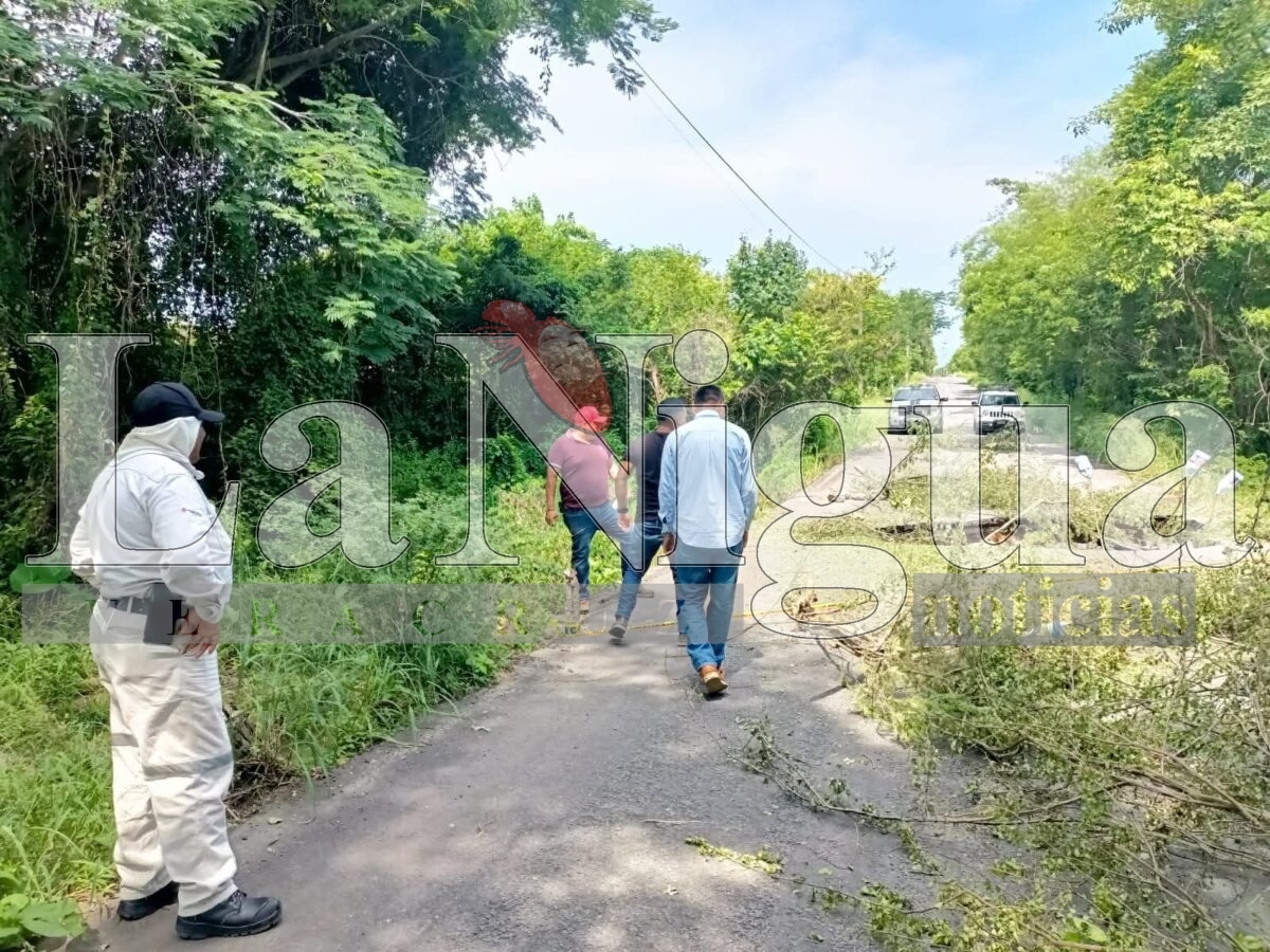Inician trabajos de rehabilitación por hundimiento en entrada principal de Camarón de Tejeda 18 fb img 17525393631789149040217676036877