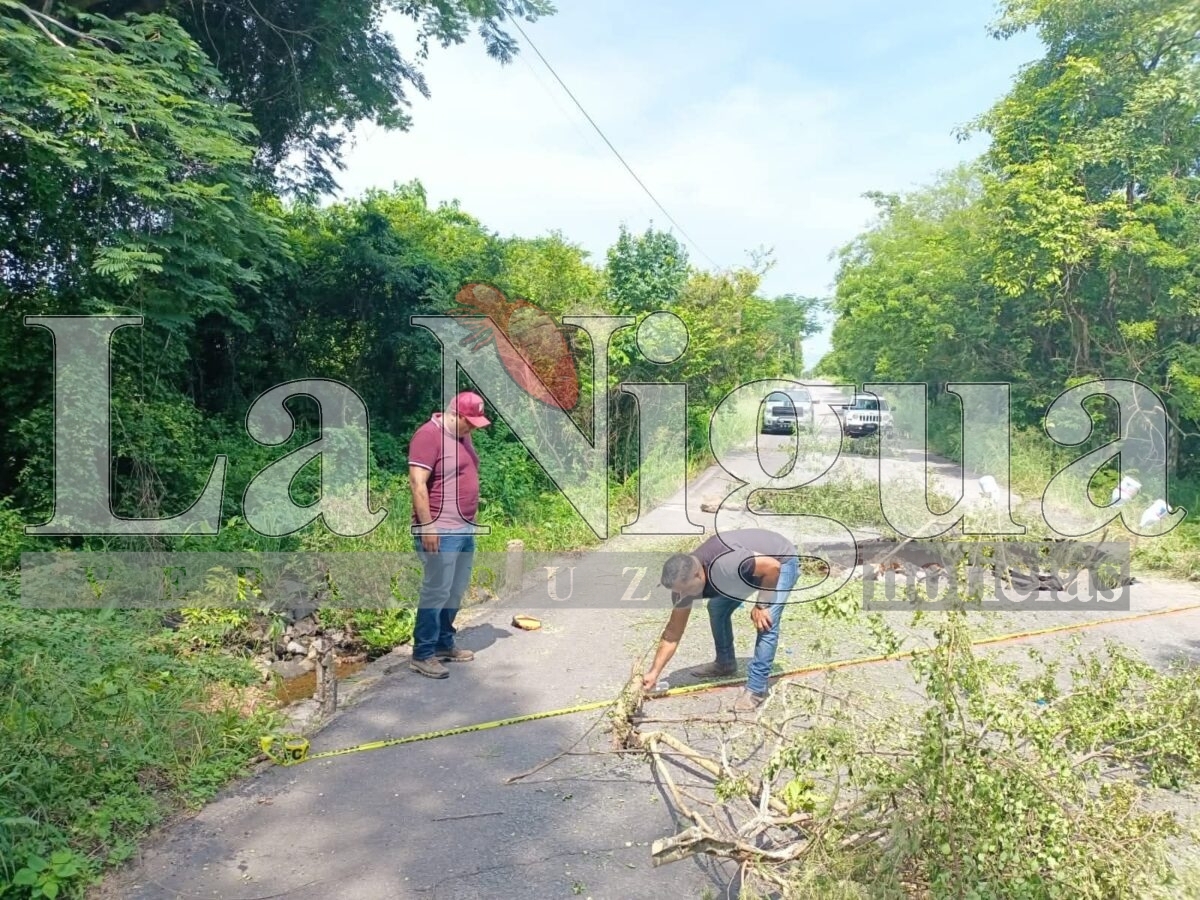 Inician trabajos de rehabilitación por hundimiento en entrada principal de Camarón de Tejeda 16 fb img 17525393676801545009411075870118