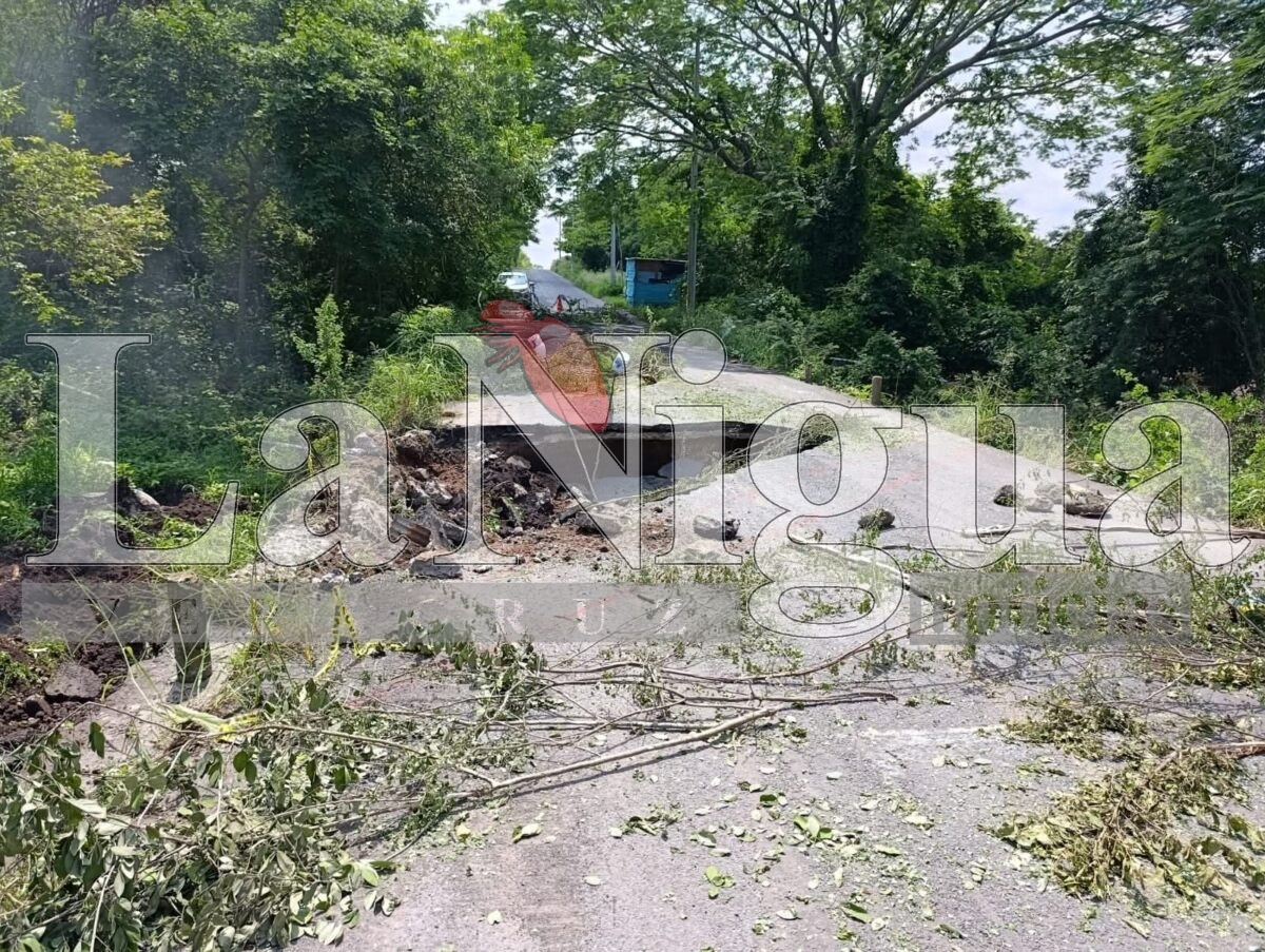 Inician trabajos de rehabilitación por hundimiento en entrada principal de Camarón de Tejeda 9 fb img 17525393829786581534421441146772