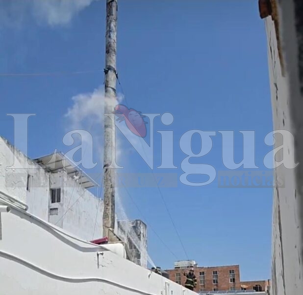Incendio en sucursal de Pollo Feliz moviliza a cuerpos de emergencia en Veracruz 1 img 20250705 wa00645867374195063170143